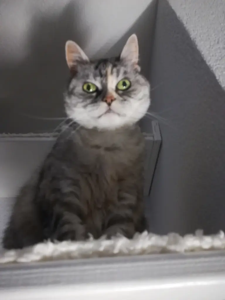 Condolence image of Silke mit Mia im Herzen 