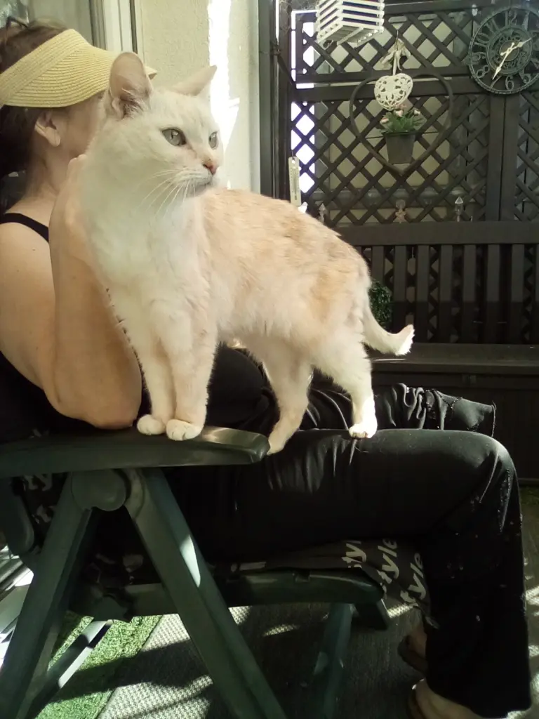 Condolence image of Beate mit Elvis im Herzen ❤