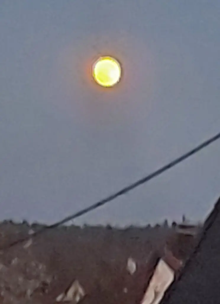 Condolence image of Silke mit Mia auf ewig ♥️