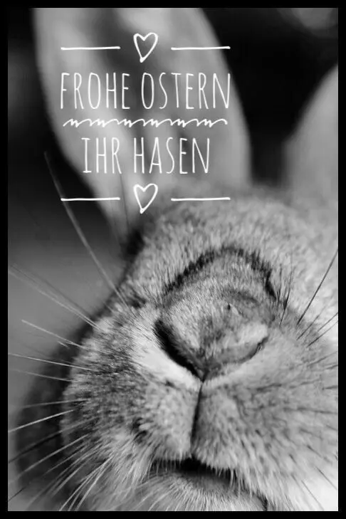 Condolence image of Danke♥️