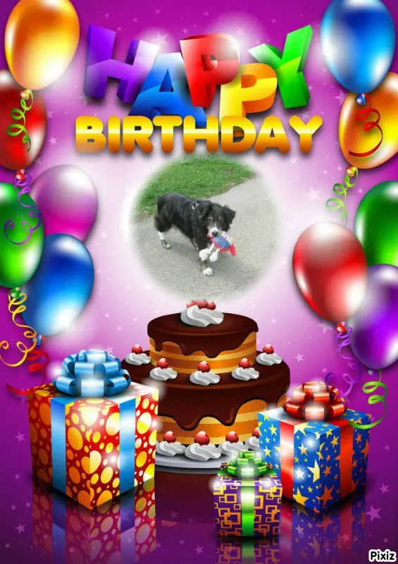 Condolence image of Tanja mit Timmy im Herzen 