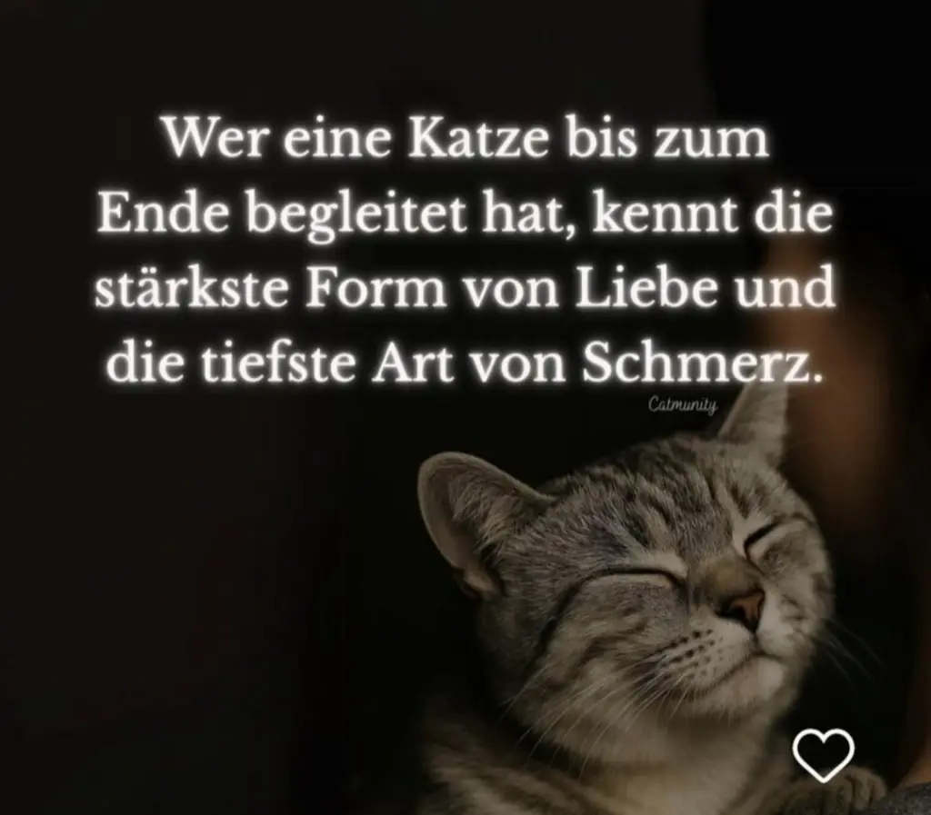 Condolence image of Doppelröschen