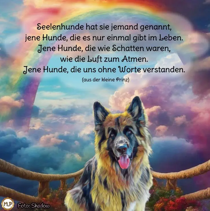 Condolence image of Liebe Grüße