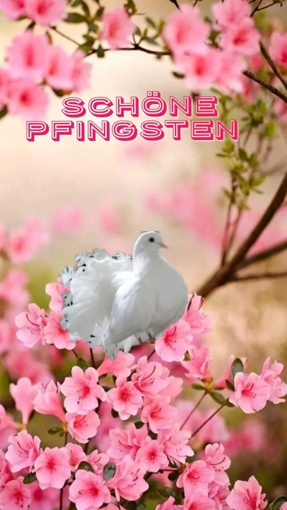 Condolence image of Annemarie und Elke mit Snoopy im Herzen gest.04.01.2022 und Pünktchen vermisst April 2021