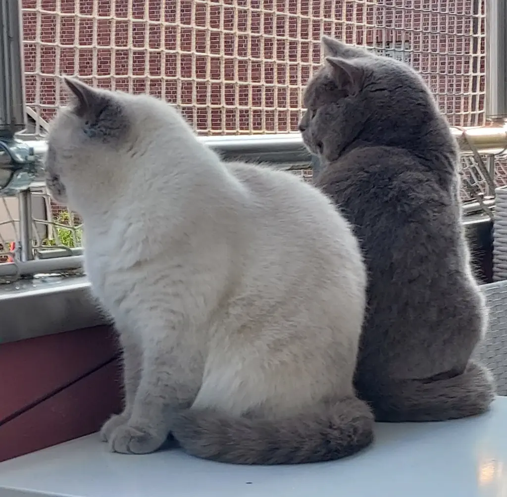 Condolence image of Unbekannt