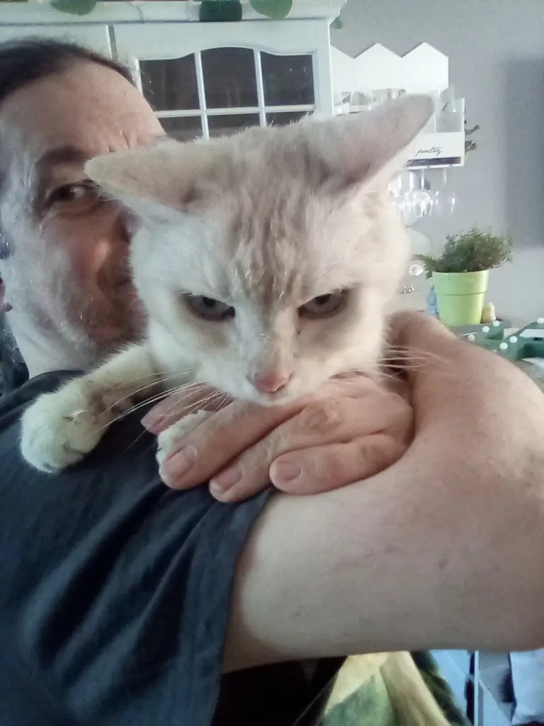 Condolence image of Beate mit Elvis im Herzen ❤