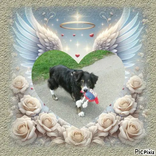 Condolence image of Tanja mit Timmy im 💘