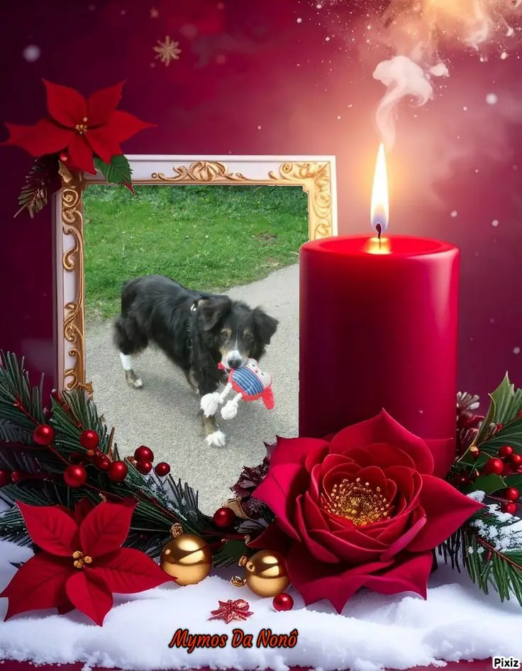 Condolence image of Tanja mit Timmy im 💘