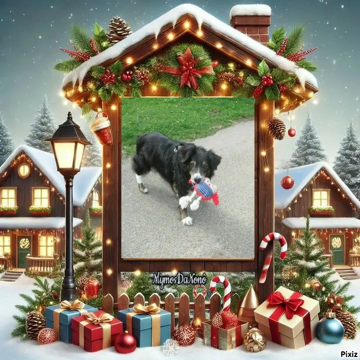 Condolence image of Tanja mit Timmy im 💘🐈🐾