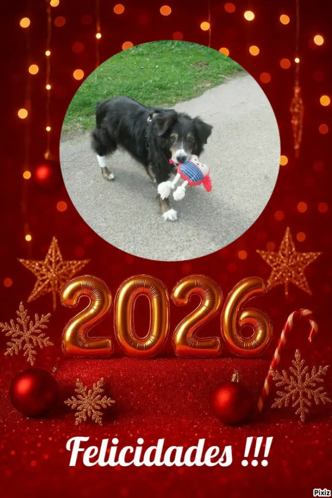 Condolence image of Tanja mit Timmy im 💘🐈🐾