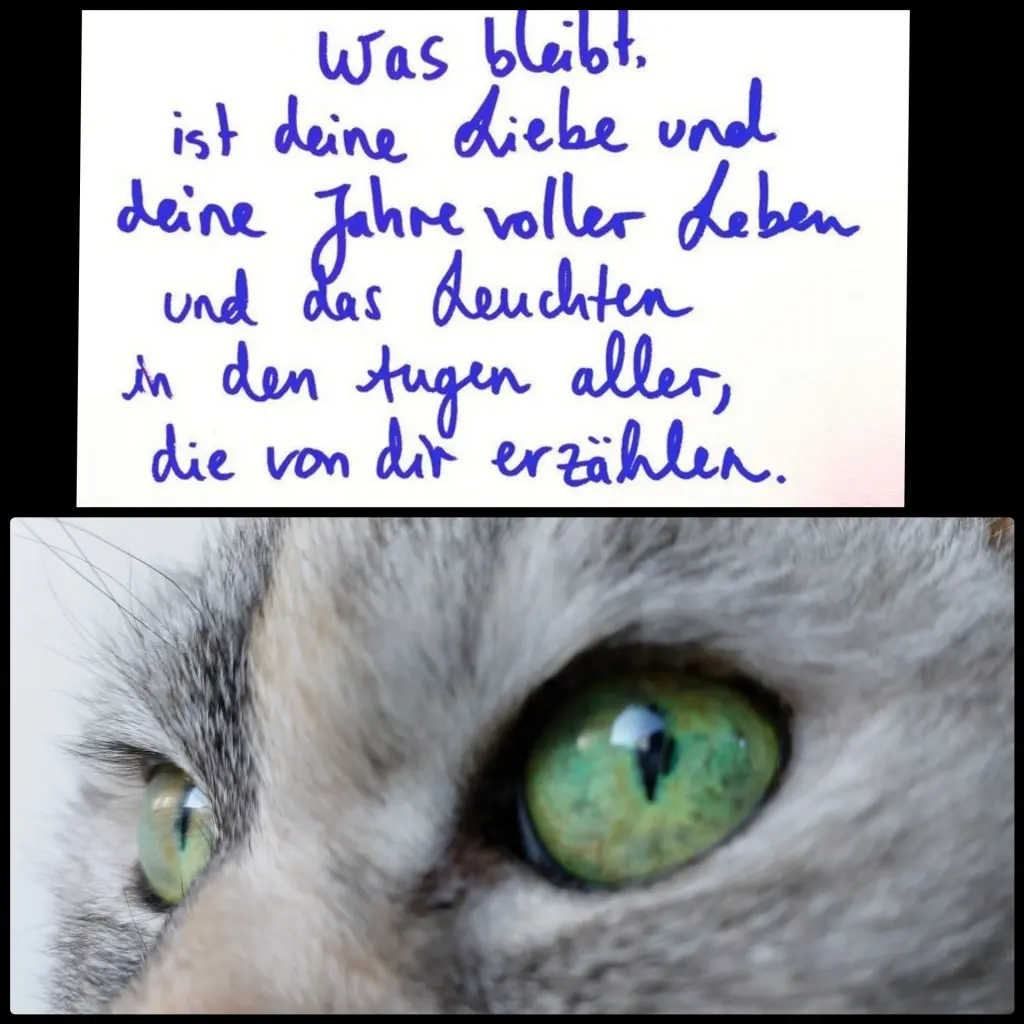 Condolence image of Liebe stirbt nicht