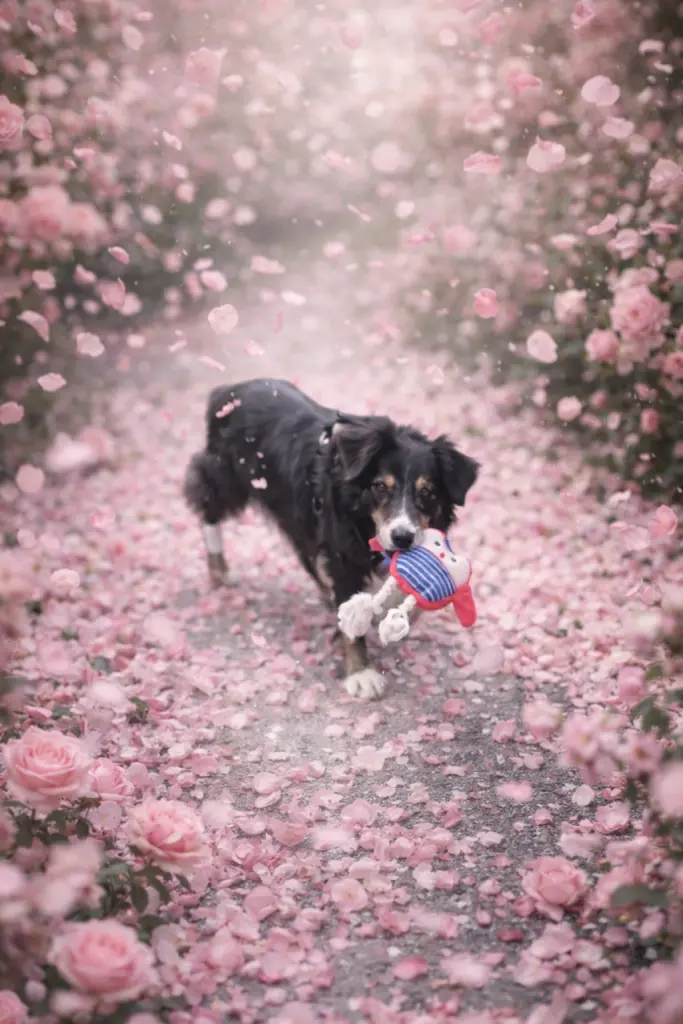 Condolence image of Gedenken