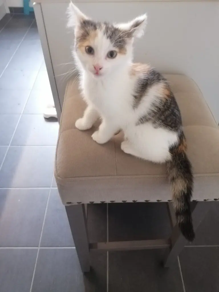 Condolence image of Danke von Baby❤