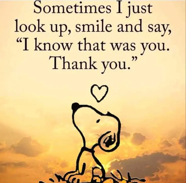 Condolence image of Liebe Grüße