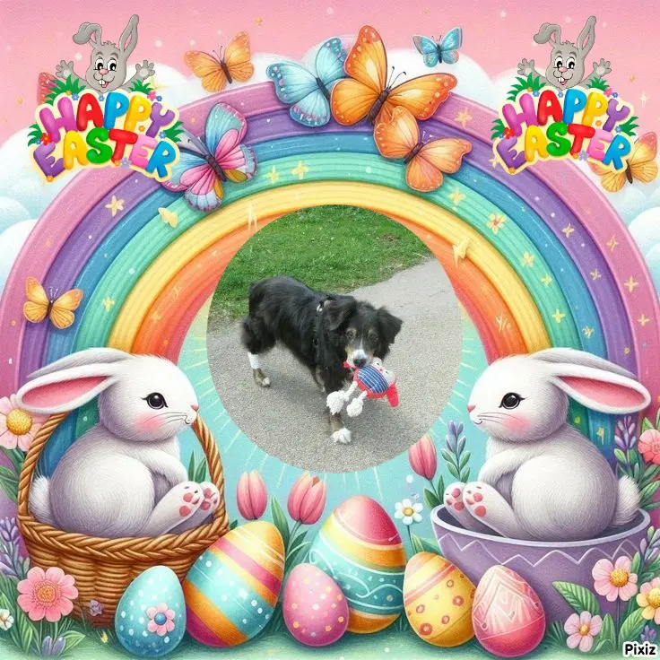 Condolence image of Tanja mit Timmy im 💖🐈🐾