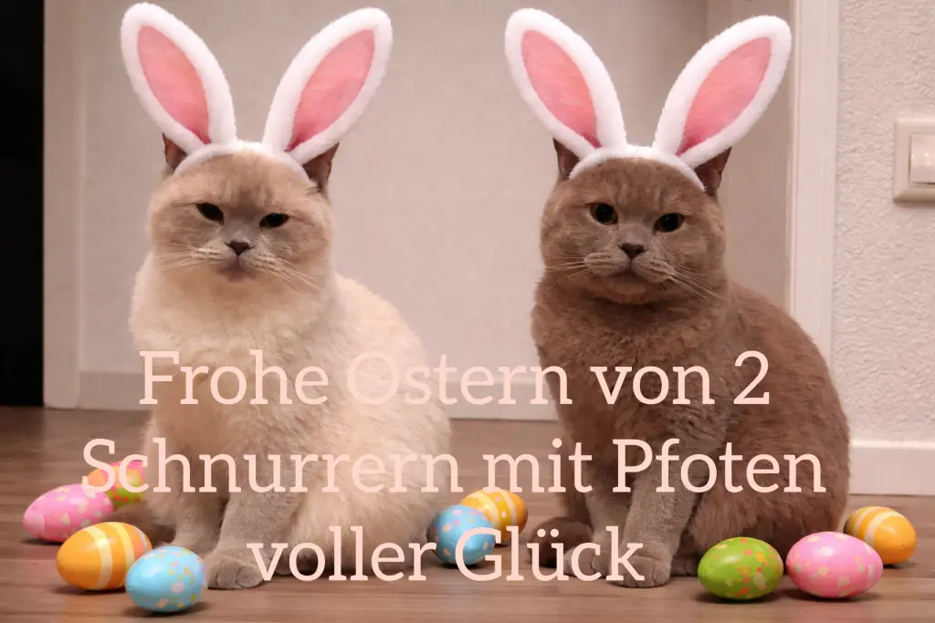 Condolence image of Frohe Ostern