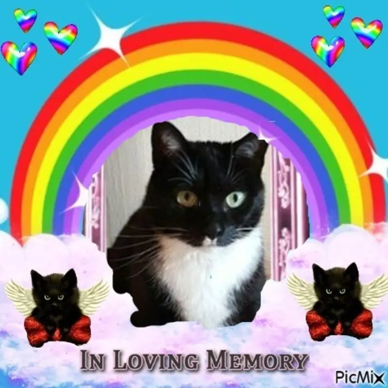 Condolence image of von Joyce❤️