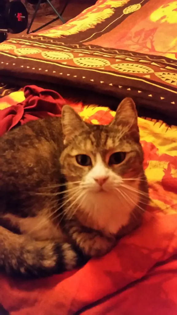 Andachtsbild von Waldemar mit Mausi im Herzen