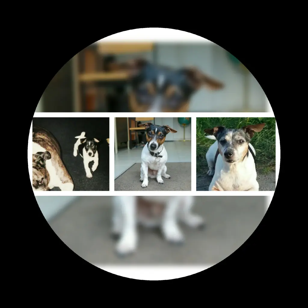 Image from Big