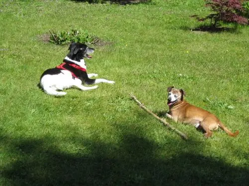 Image from Merlin und Billie-Jean