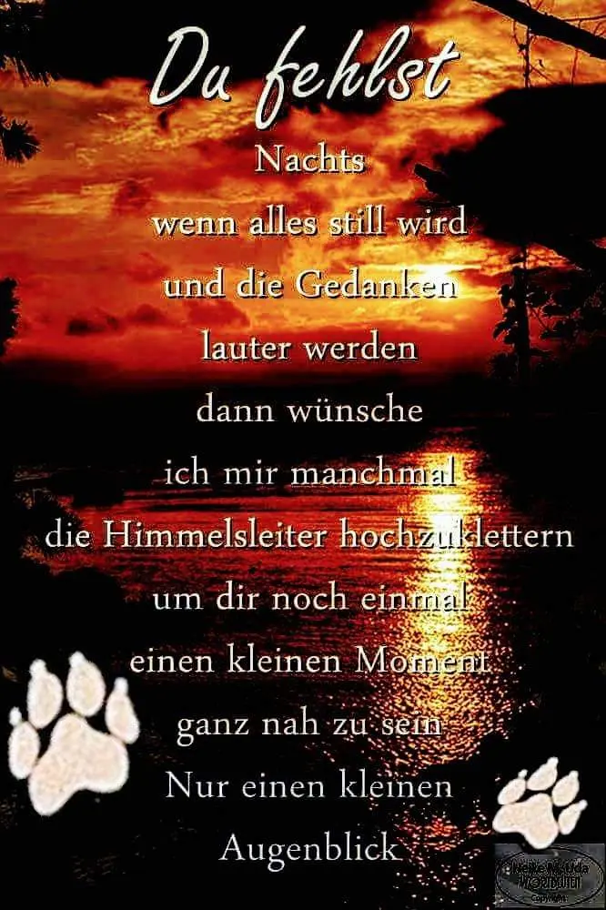Condolence image of Melanie und Micky
