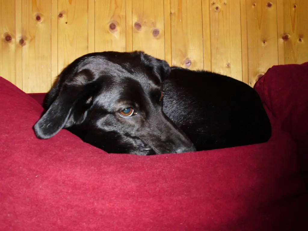 Condolence image of Matthias