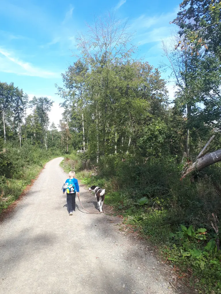 Bild von Sinja
