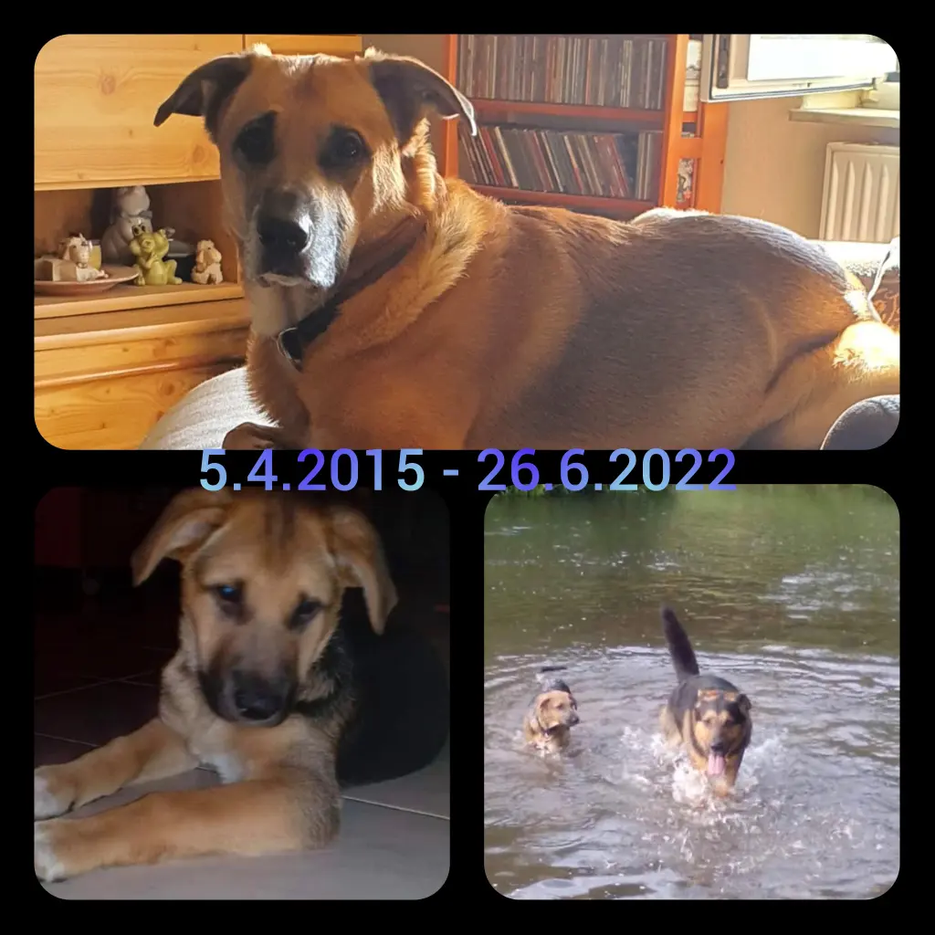 Image from Balou