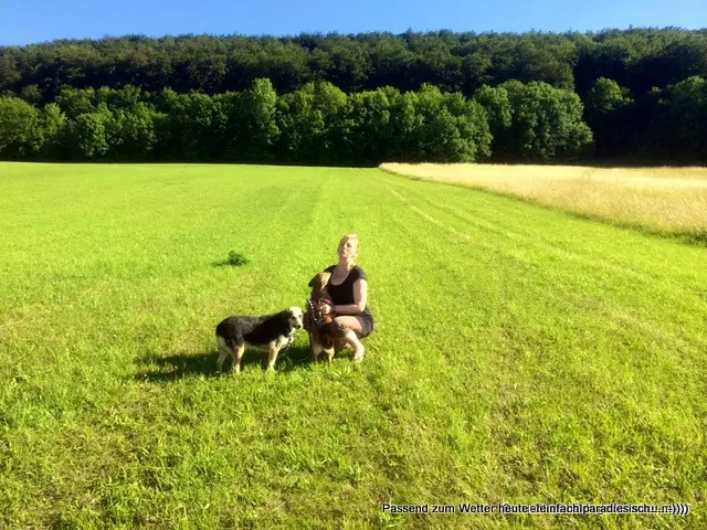 Image from Döme