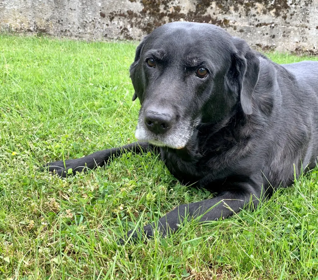 Andachtsbild von Ottmar (für Charly, gest. 07.06.2022)
