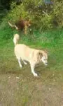 Image from Kessy