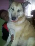 Image from Kessy