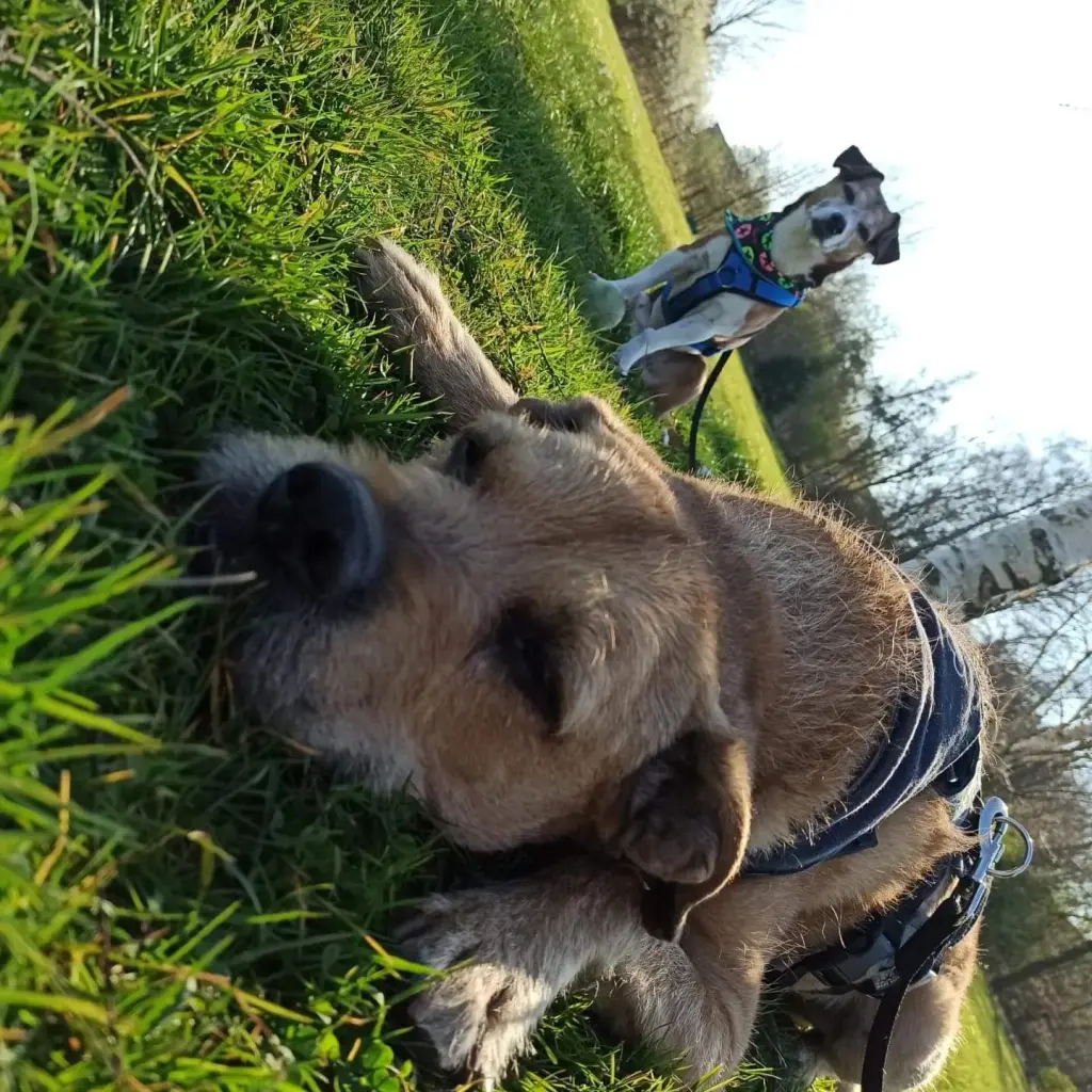 Image from Kessy