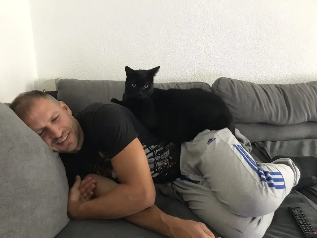 Image from Lumpi