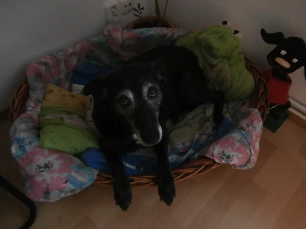 Condolence image of Unbekannt