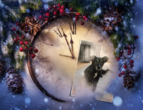 Condolence image of Unbekannt