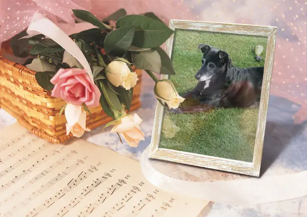 Condolence image of Unbekannt