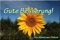 Condolence image of Jutta mit Purzel tief im Herzen ✟ 08.05.2016