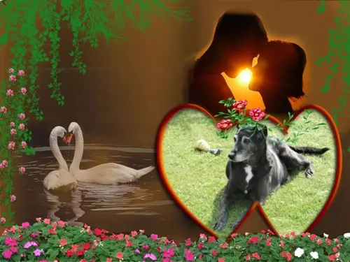 Condolence image of Unbekannt