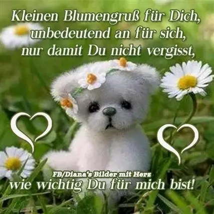 Condolence image of Jutta mit Purzel tief im Herzen ✟ 08.05.2016