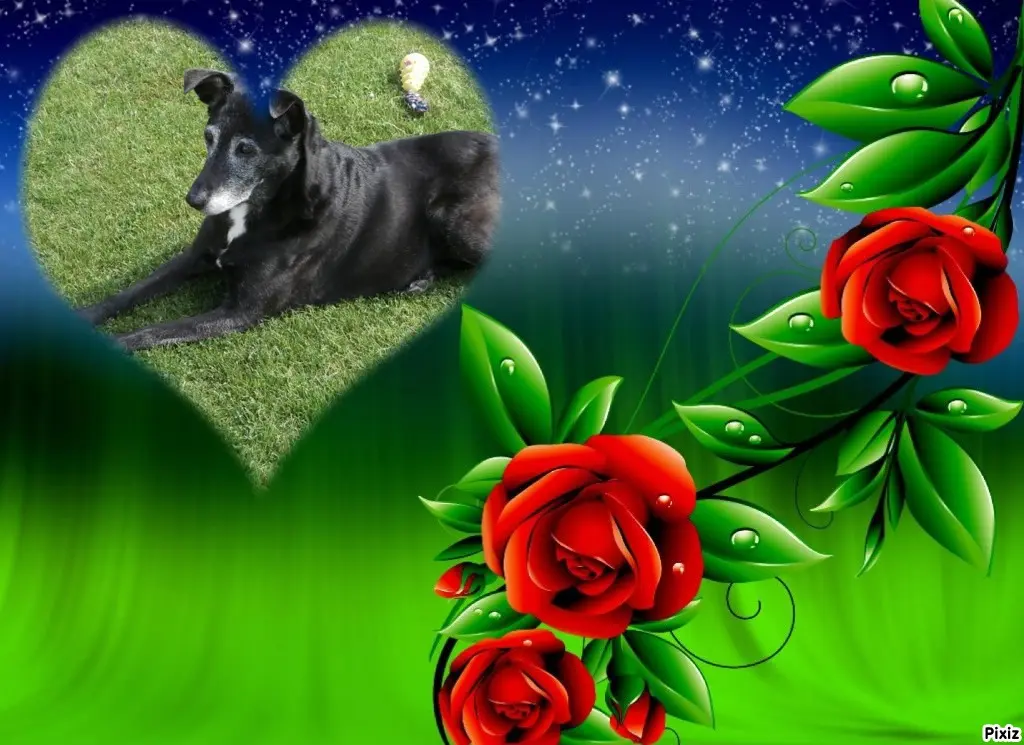 Condolence image of Unbekannt