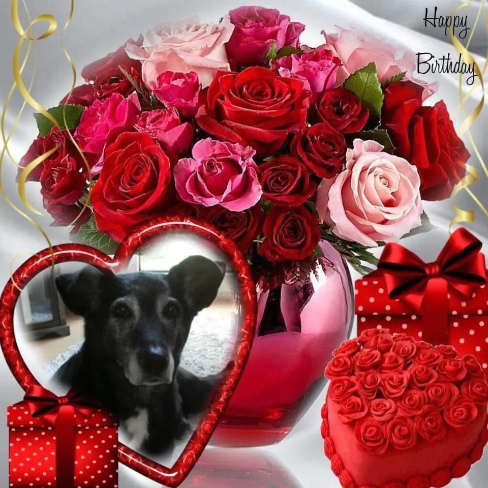 Condolence image of ❤️16.Geburtstag❤️❤️❤️