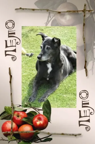 Condolence image of Unbekannt