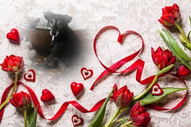 Condolence image of ❤️❤️❤️