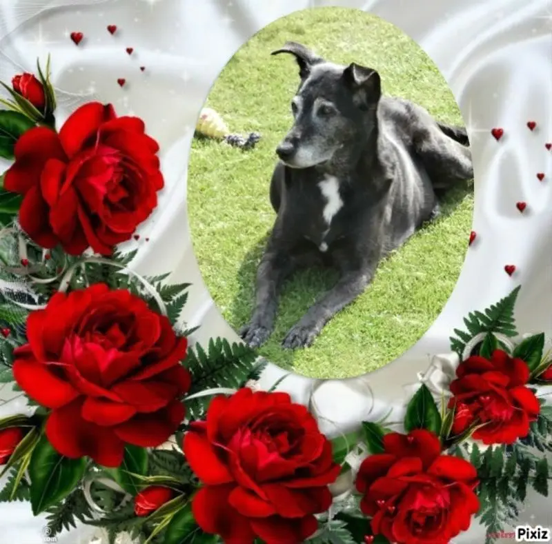 Condolence image of Unbekannt