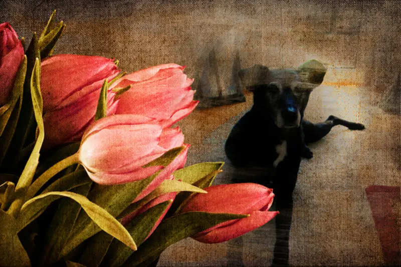 Condolence image of Unbekannt