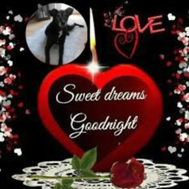Condolence image of Gute Nacht❤️❤️❤️