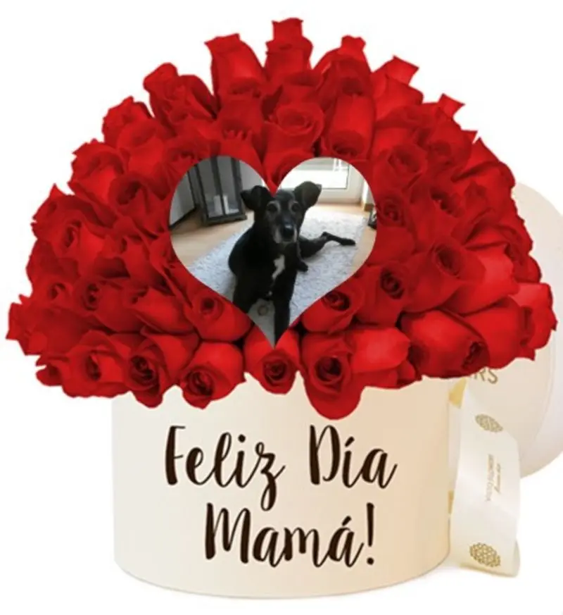 Condolence image of ❤️Mama❤️