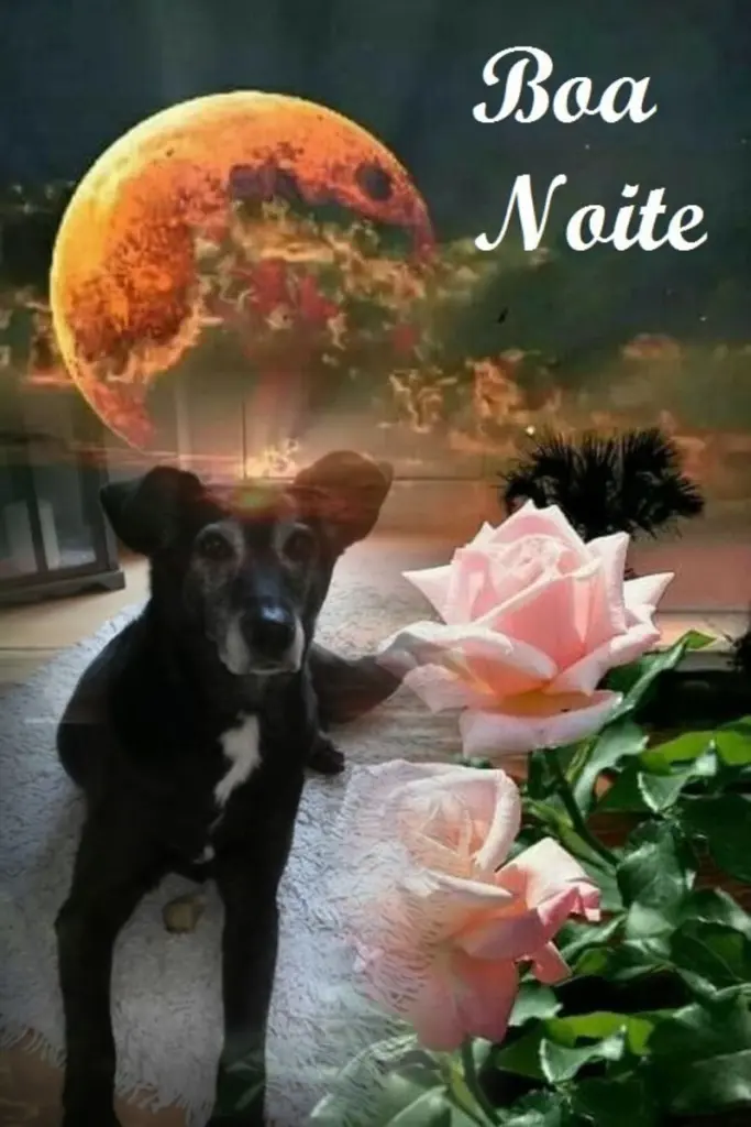 Condolence image of Gute Nacht❤️❤️❤️