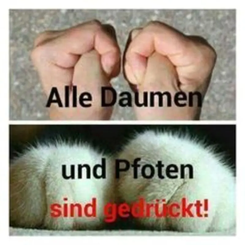 Condolence image of Fur Liebe Frauchen❤️Ramona❤️